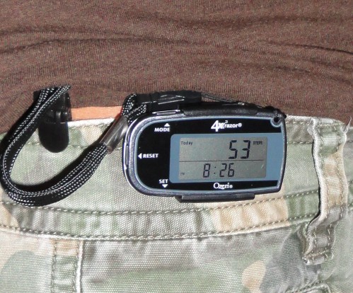 digital pedometer by ozeri digital pedometer by ozeri