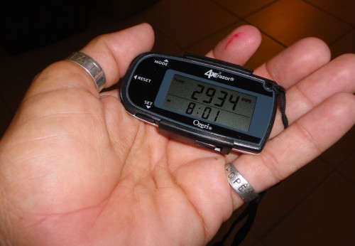 pedometer reading