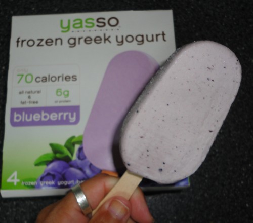 yasso blueberry frozen yogurt bar