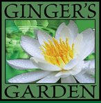 gingers garden